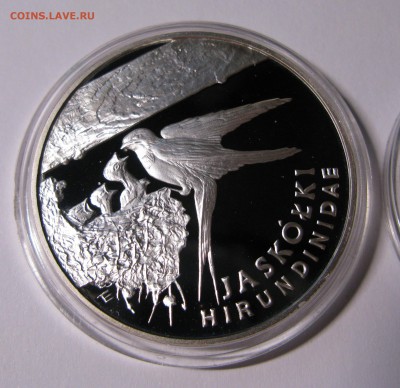 300000 злотых 1993 Польша Ласточки Hirundinidae 22.00 20.08 - IMG_0806.JPG