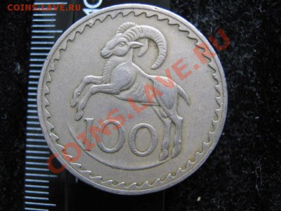 Кипр 100 милс 1971 до 11-05-11 22-00 - IMG_6149