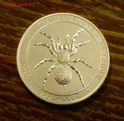 АВСТРАЛИЯ - ТАРАНТУЛ унцовка АЦ до 21.08, 22.00 - Австралия - Тарантул унцовка