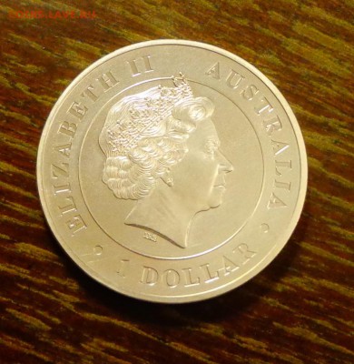 АВСТРАЛИЯ - ТАРАНТУЛ унцовка АЦ до 21.08, 22.00 - Австралия - Тарантул унцовка-1