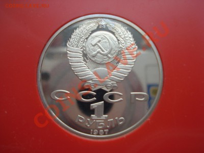 1р.1987г. Бородино с Рубля. до 11.05.11. до 22.00. - DSC05903.JPG