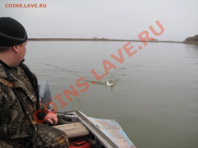 Рыбалочка на Первомай - IMG_5384.JPG
