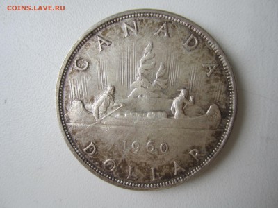Кадана, доллар 1960 с 700 ₽ до 19.08.18 22.00 МСК - IMG_8130.JPG