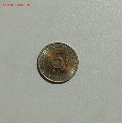 Винторогий козёл)до 22.08.2018 - IMG_20180817_125223