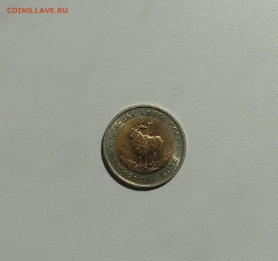 Винторогий козёл)до 22.08.2018 - IMG_20180817_125229