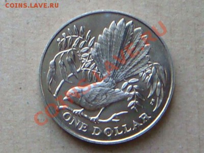 -v- Новая Зеландия 1 доллар 1980 Голубь до 12.05(21.00) - DSC02043.JPG