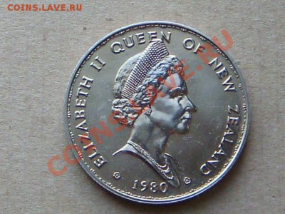 -v- Новая Зеландия 1 доллар 1980 Голубь до 12.05(21.00) - DSC02044.JPG