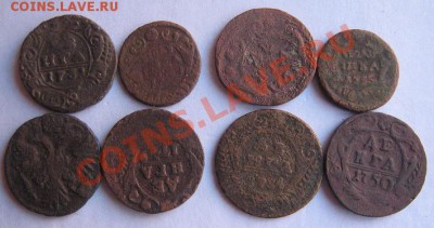 Царская медь:денежки ,полушки 8 шт с РУБЛЯ  до 12.5  в 21-00 - IMG_5169