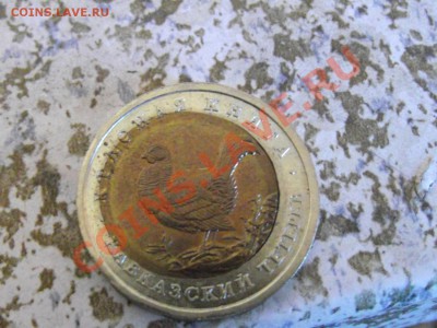 Кавказский тетерев (смещение) 1993 Красная книга до 11.05.20 - DSCF5082.JPG