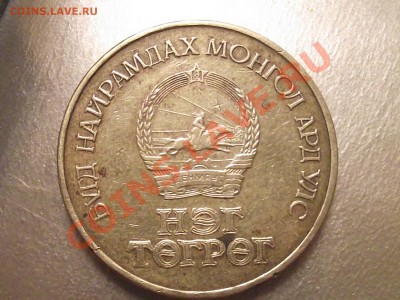50 жил монголия помогите оценить - DSCF5283.JPG