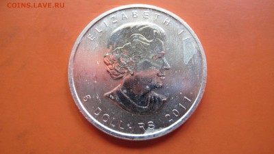 Канада 5 долларов 2011 "Кленовый лист", лот #3 - IMG_9948.JPG