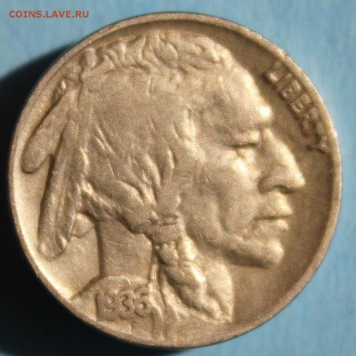С РУБ. USA 5 cents 1936г. БИЗОН до 27.08 в 22-00 - IMG_3800.JPG