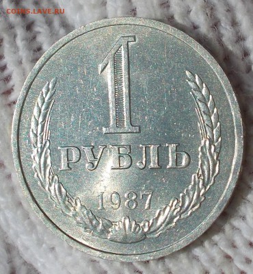 ГОДОВИК 1987 БЛЕСК  до 27.08.2018 в 22-00 мск - DSCN0691