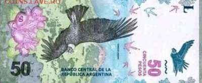 Новости 2017 года, пополняемая - argentina_bcra_50_pesos_2018.08.16_b401_pnl_0000001_a_f