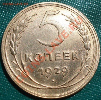 5 копеек 1929 ОТЛИЧНАЯ С БЛЕСКОМ! до 22:00 10.05.11 по МСК. - DSC07553.JPG