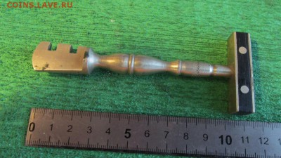 Стеклорез царский - IMG_6562.JPG