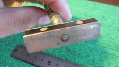 Стеклорез царский - IMG_6563.JPG
