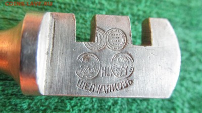 Стеклорез царский - IMG_6561.JPG