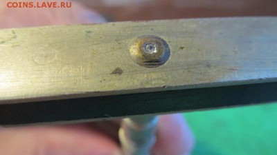 Стеклорез царский - IMG_6565.JPG