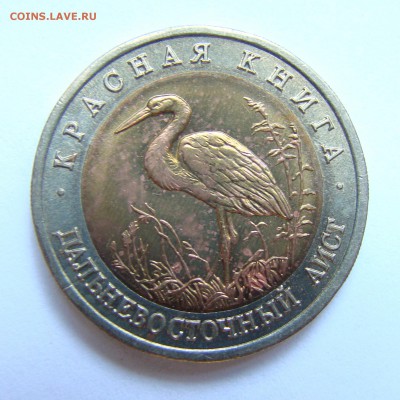 КК 50 рублей 1993 г. (Дальневосточный аист) - 22-1