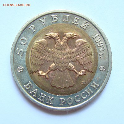 КК 50 рублей 1993 г. (Туркменский эублефар) - 25-2