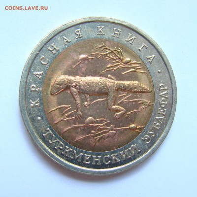 КК 50 рублей 1993 г. (Туркменский эублефар) - 25-1