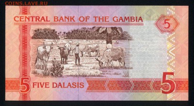 Гамбия 5 даласи 2013 unc 30.08.18. 22:00 мск - 1