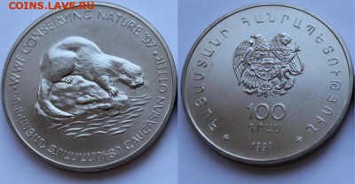 Крона Шайба Армения 100 драм 1997 Кавказская выдра - krona_shajba_armenija_100_dram_1997_kavkazskaja_vydra_sokhranim_prirodu_fond_dikoj_prirody_fauna_wwf