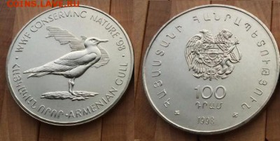 Крона Шайба Армения 100 драм 1998 Армянская Чайка - krona_shajba_armenija_100_dram_1998_armjanskaja_chajka_pticy_wwf_fauna_fond_dikoj_prirody_sokhranim_prirod