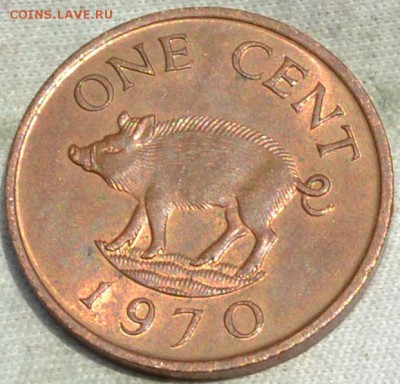 Бермудские острова 1 цент 1970. 27. 08. 2018. в 22 - 00. - DSC_0871