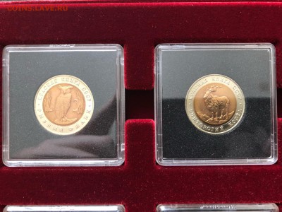 Красная книга на оценку - IMG_4651-24-08-18-14-28
