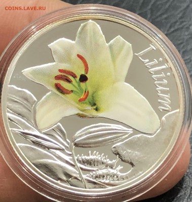 Белоруссия 10 рублей 2013 г ЦВЕТОК ЛИЛИЯ - IMG_9810.JPG