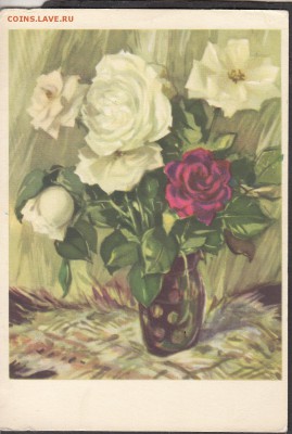 СССР ПК 1960 розы - 253