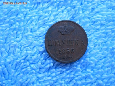 Полушка 1856 ем.до 28.08.2018 в 22-00 по мск. - DSCN3895.JPG