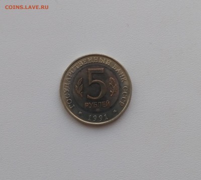 Винторогий козёл)до 28.08.2018 - IMG_20180826_191032