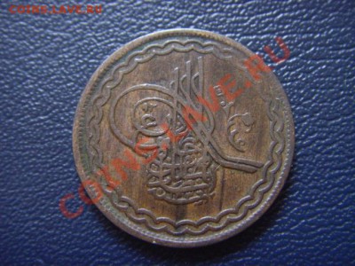 о - LPIC9818.JPG
