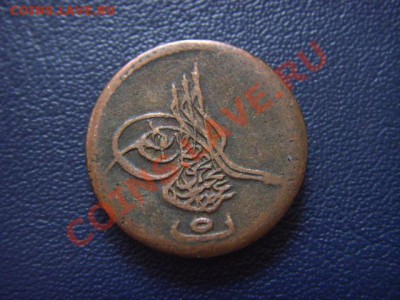 о - LPIC9814.JPG