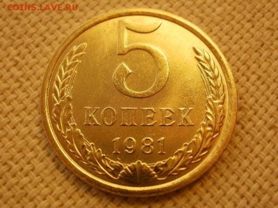 5 копеек 1981г Без Обращения. до 29.08. - P1010115.JPG