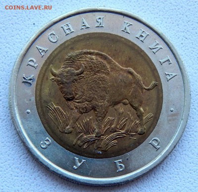 50 рублей 1994 КК ЗУБР до 31.08.18 - DSCN9855.JPG