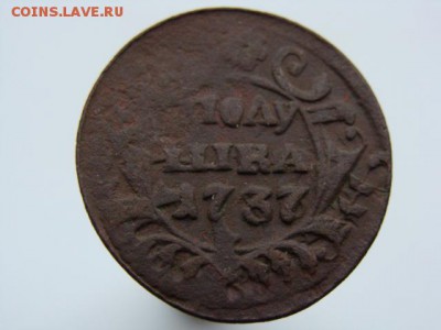 Полушка 1737 год. Гладкий гурт до 31.08.2018 г - 0614-3.JPG