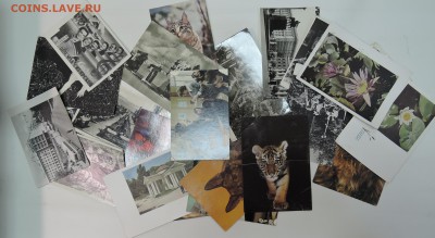 3 подборки фотографий из СССР до 06.09 в 22.00 - DSCN2506.JPG