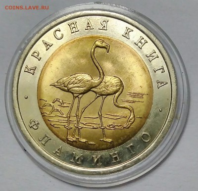 К.К. 50 руб.Фламинго АНЦ.до 4.09.18 - _20180831_112937