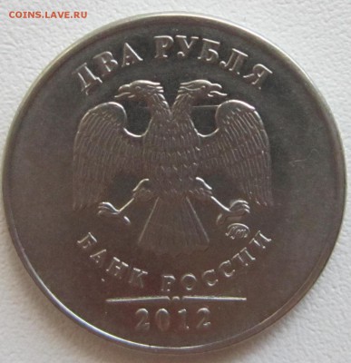 Орлам проткнули шею - IMG_1783.JPG