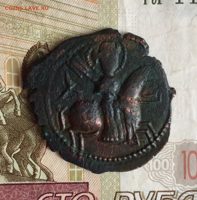 Помощь в опознании - 2529ACDB-8BCC-4DBE-8ED9-04C8FA9F14BD