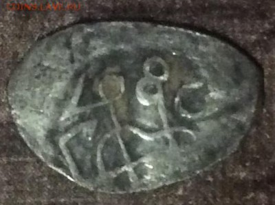 Чешуйка - IMG_1615.JPG