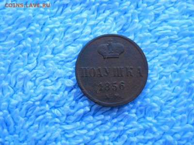 Полушка 1856 ем до 05 09 2018 в 22-00 по мск. - DSCN3895
