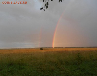ФОТО - просто фото. Те что получились удачными. - DSCN0748.JPG