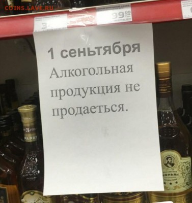 юмор - 2018-09-02 18-31-10.JPG