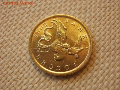 10 копеек 2005 г. СПМД Без Обращения + Бонус до 5.09. - P1030214.JPG