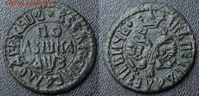Полушки 1707 г 3 разновида и полушка 1712 Повелитель - 1707т
